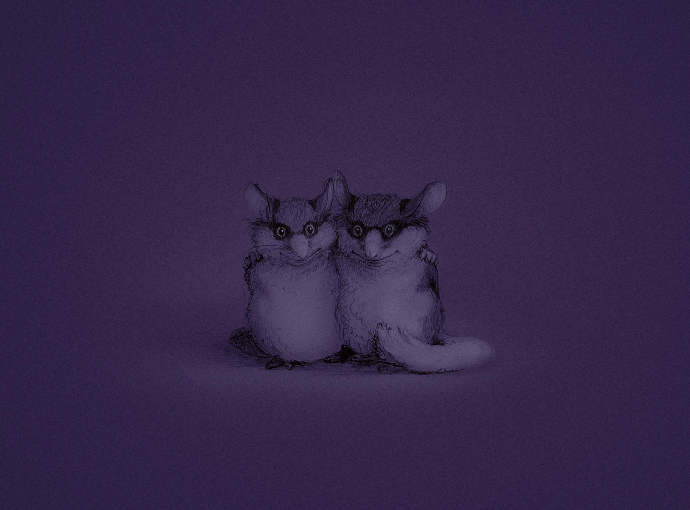 une-nuit-01