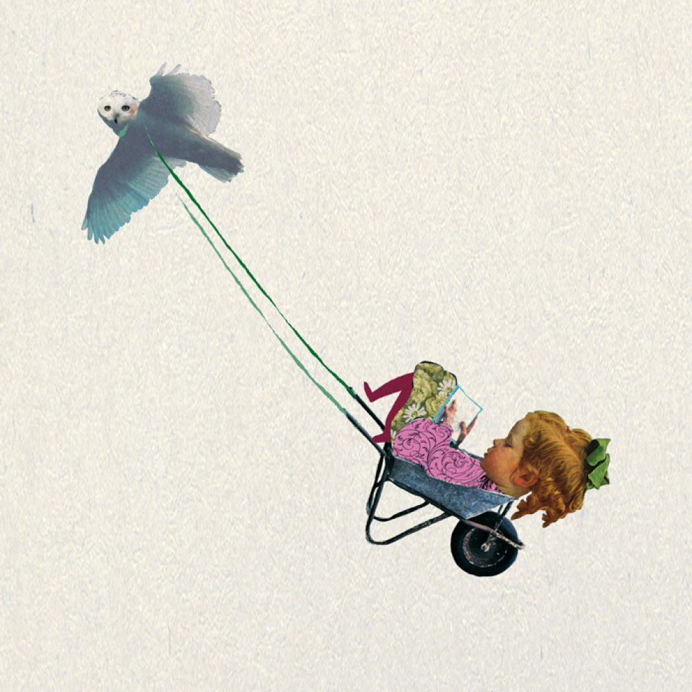 le-ligueur13