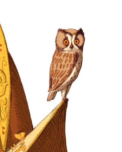 FETES HISTORIQUES DU FESTIN (2013) illustration for the poster